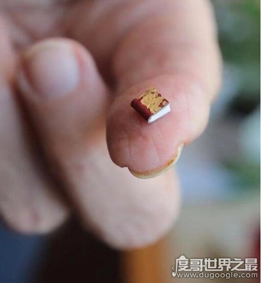世界上最小的书，仅25微米比人的头发还小(要用显微镜看)