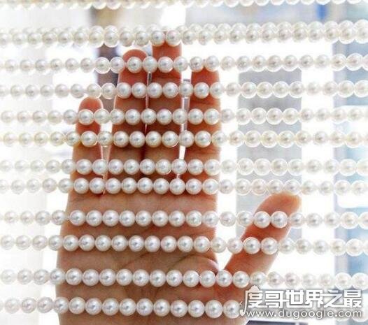 世界最长的珍珠项链，一条由316474颗珍珠组成的项链打破记录
