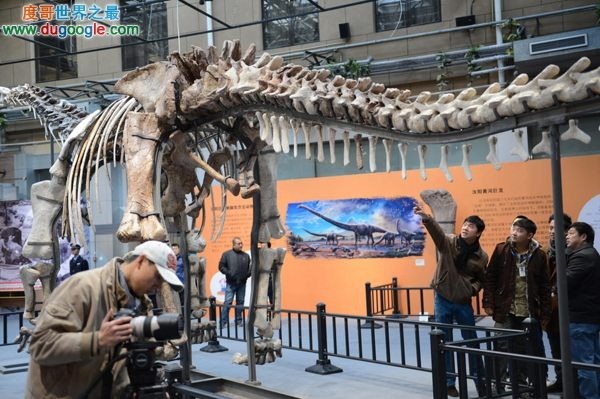 世界最大恐龙骨架北京亮相