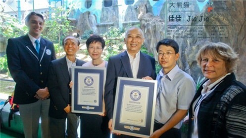 香港海洋公园庆贺大熊猫佳佳刷新世界纪录 最长寿的在世圈养大熊猫