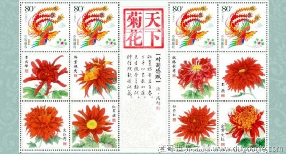 《天下菊花》刷新世界纪录成同一系列最多的邮票