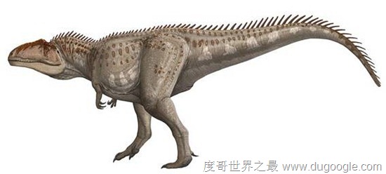 巨兽龙又名南巨龙,南方巨兽龙,是恐龙家族中最矮的食肉恐龙