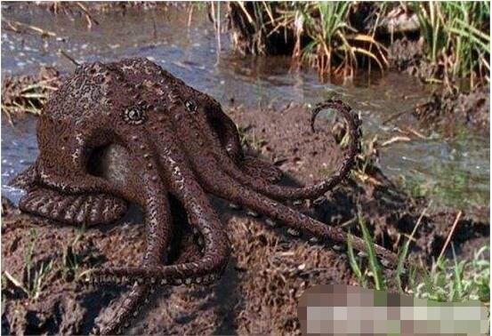 一亿年后地球上的新物种，沼泽章鱼(将能在陆地上生存)
