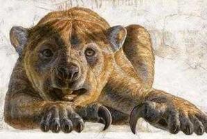 史上咬合力最强的哺乳动物，袋狮是同体型雄狮的3倍