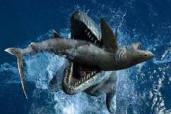 史前霸主巨齿鲨生死谜，地球上咬合力最强的生物