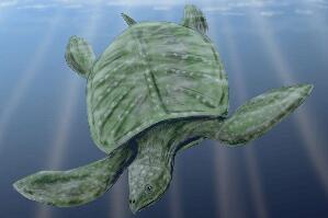 史上最巨大的海龟，古巨龟体长5米重达2吨有强大咬合力