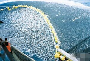 世界上最大的渔场，日本北海道渔场(世界四大渔场排行)