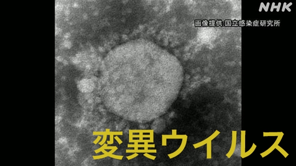 日本首现变异病毒聚集性感染 同一公司有7人确诊_新奇科技 - 夜异区世界之最
