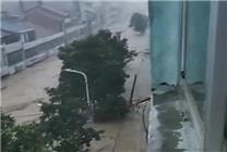 湖北多地遭遇特大暴雨 10万余人受灾：湖北柳林镇突发洪水部分居民失联