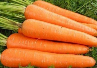 为什么市面上的胡萝卜很干净 胡萝卜怎么清洗会干净