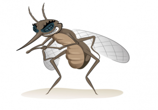 雌蚊子只需交配一次便可终生产卵 蚊子喜欢在哪儿产卵