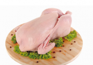 经常吃鸡肉真的会性早熟吗 为什么冷冻鸡胸肉那么便宜