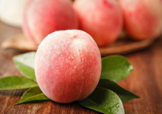 吃桃子有可能引发过敏吗 蚂蚁庄园9月4日答案