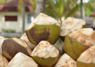 椰子饮料更天然更健康吗 喝椰子水有什么好处