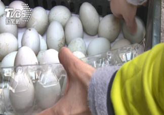 台湾鸭蛋价格创历史新高 为什么台湾鸭蛋涨价了