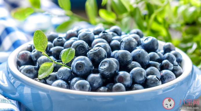 每天吃一盒蓝莓会发生什么 蓝莓品种有什么