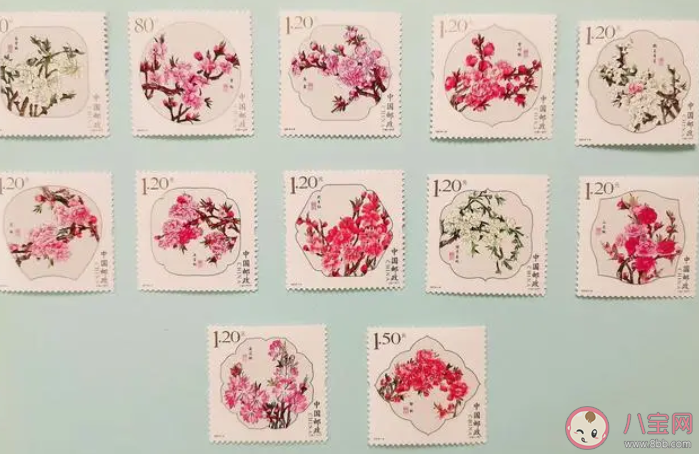 对于邮票来说枚和张是相同大小吗 蚂蚁庄园5月24日答案