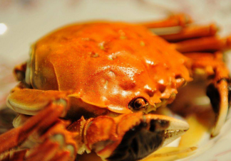网红黄油蟹一只2000元为什么贵 中秋为什么适合吃螃蟹