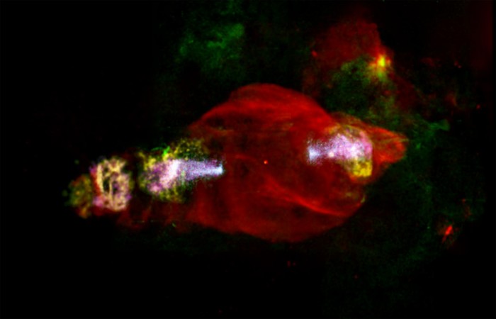 欧空局卫星发现美丽“宇宙生物”的“头部”中异常粒子加速的位置