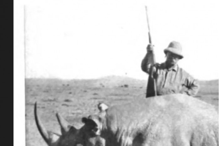 研究表明捕猎行为可能导致犀牛进化出更小的角
