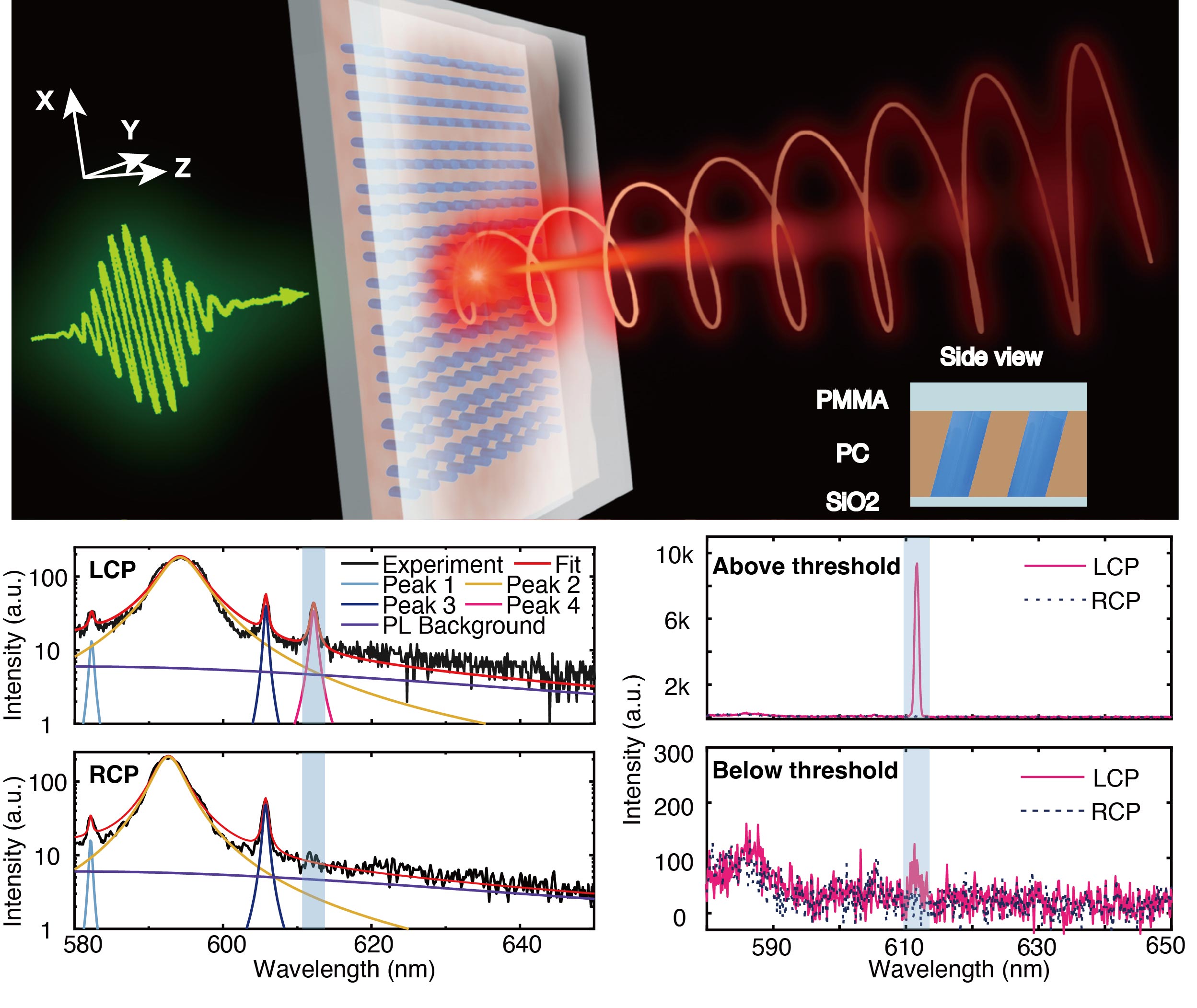 科学家成功从谐振金属表面高效并可控地发射了圆偏振光