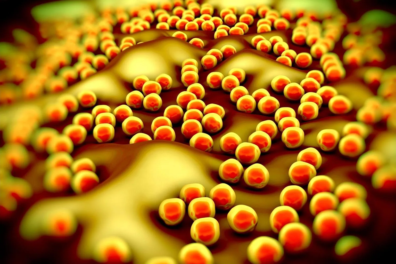 发现可摧毁MRSA超级细菌的新化合物