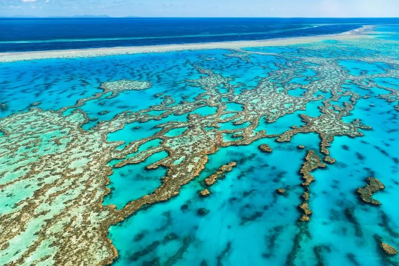 长达36年的监测发现大堡礁中部和北部的珊瑚覆盖率最高