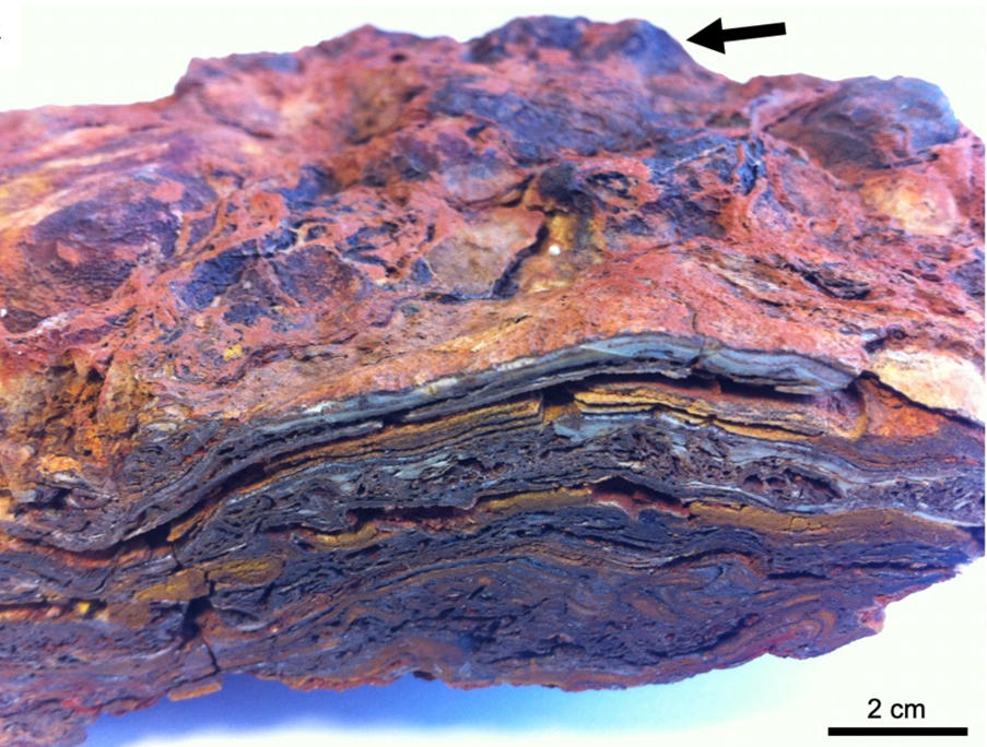 地球上最古老的叠层石启发寻找火星生命的新前景