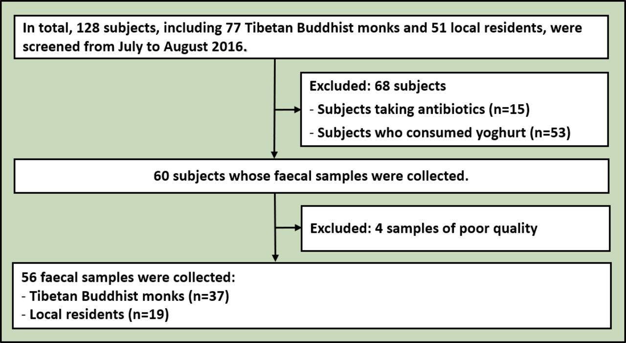 针对佛教僧侣的微生物组研究揭示了冥想对肠道细菌的影响